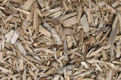biomass boilers Wellow Wood